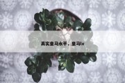 真实皇马水平，皇马lv