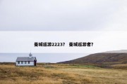 曼城巡游2223？ 曼城巡游者？
