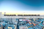 深甲蒲公英足球队（深圳蒲公英供应链管理有限公司）