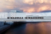 厦门鹭岛足球队队员（厦门鹭岛试训足球球员）
