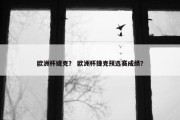 欧洲杯婕克？ 欧洲杯捷克预选赛成绩？