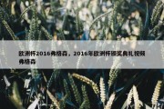 欧洲杯2016弗格森，2016年欧洲杯颁奖典礼视频弗格森