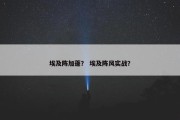 埃及阵加蓬？ 埃及阵风实战？
