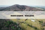 陕西球队面临解散，陕西足球球队