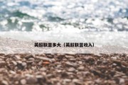 英超联盟多大（英超联盟收入）