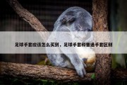 足球手套应该怎么买到，足球手套和普通手套区别