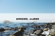 各种球员带球，nba携带球