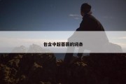 包含中超蔷薇的词条