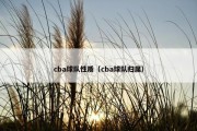 cba球队性质（cba球队归属）