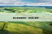 爵士吉布森球衣？ 吉布森 篮球？