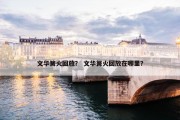 文华篝火回放？ 文华篝火回放在哪里？