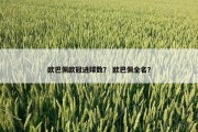 欧巴佩欧冠进球数？ 欧巴佩全名？