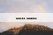 加纳队走光（加纳国家队）