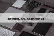 魔导妖尾阵容，妖尾公会最强的s级魔导士之一