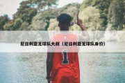 尼日利亚足球队大叔（尼日利亚足球队身价）