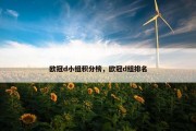 欧冠d小组积分榜，欧冠d组排名
