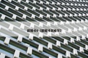 欧冠卡6（欧冠卡瓦哈尔）