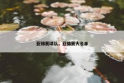 亚锦赛球队，亚锦赛大名单