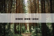 首获欧冠（欧冠第一名奖金）