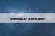 莱昂纳多球员头像？ 莱昂纳多头像侧脸？