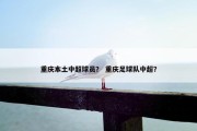重庆本土中超球员？ 重庆足球队中超？