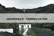小雪足球日记怎么写？ 写足球的日记小学二年级？