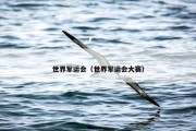 世界军运会（世界军运会大赛）
