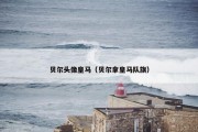 贝尔头像皇马（贝尔拿皇马队旗）