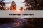 利物浦雷耶斯图片（利物浦阵容图片）