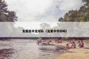 友爱高中足球队（友爱中学好吗）