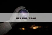 西甲哪里好看，西甲在哪