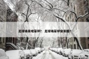 足球场景观草坪？ 足球场草坪背景图？