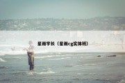 星雨学长（星雨cg实体班）