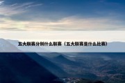 五大联赛分别什么联赛（五大联赛是什么比赛）