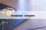 切尔西最后希望？ 切尔西会赢吗？