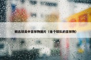 精选球员中吉祥物图片（各个球队的吉祥物）