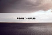 大球探网（球探网比赛）