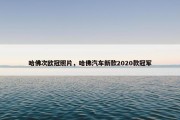 哈佛次欧冠照片，哈佛汽车新款2020款冠军