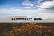 国足表演足球基本功教学（国足技能）