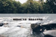 弗格森拜仁完整（弗格森足球风格）