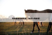 球员通道犯规英语（球员入场通道）