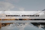 欧洲杯球星模特夫人，欧洲杯球星模特夫人是谁