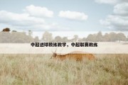 中超进球教练教学，中超联赛教练