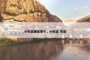 小松鼠踢足球个，小松鼠 写话