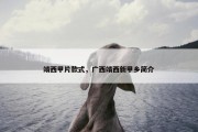 靖西甲片款式，广西靖西新甲乡简介