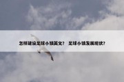 怎样建设足球小镇英文？ 足球小镇发展现状？