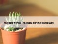 中超哪家大巴车？ 中超球队大巴怎么到达客场的？