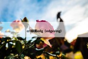 crl联赛edg（edgvslng）