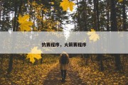 抗赛程序，火箭赛程序