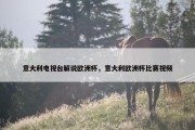 意大利电视台解说欧洲杯，意大利欧洲杯比赛视频